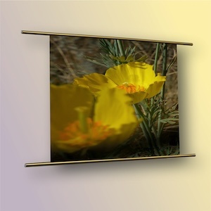 Das Poster von zwei gelben Blüten wird oben und unten von je einer Cartes-Bilderleiste in Gold eingefasst.